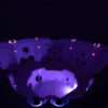 Wentworth Light Up Purple | A6 Hot Tubs
